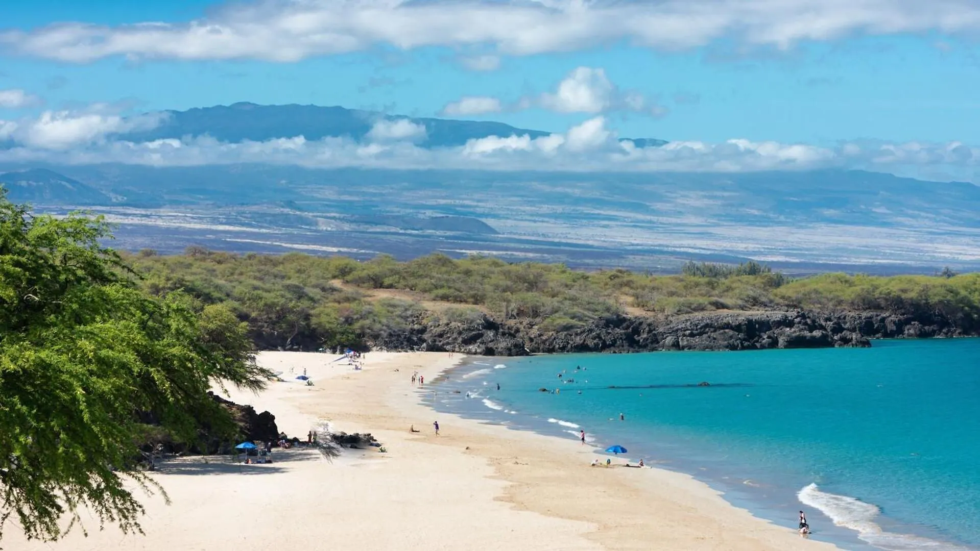 펜션 Hawaiian Jewel Family Friendly Kamilo 4Br Home Walk To Pauoa Beach 와이콜로아 빌리지 미국